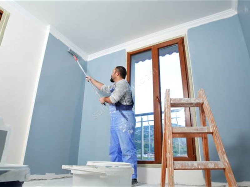 Fatsa Boya Badanacı